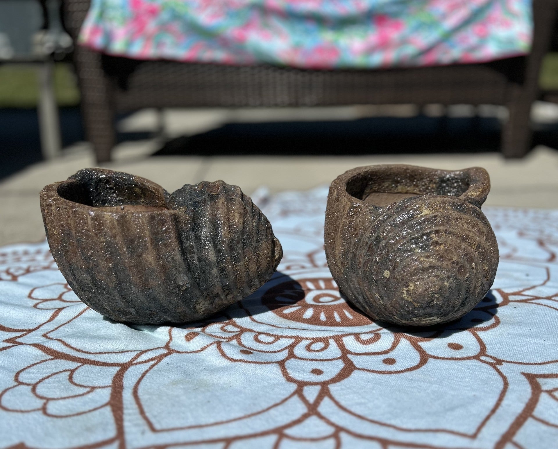 Scotch Bonnet Shell Planter - Copper