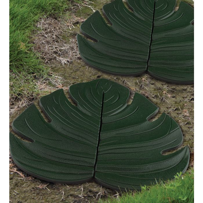 Stepping Stone - Monstera