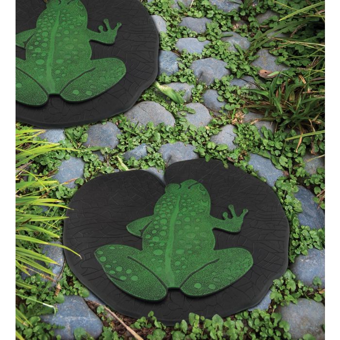 Stepping Stone - Frog